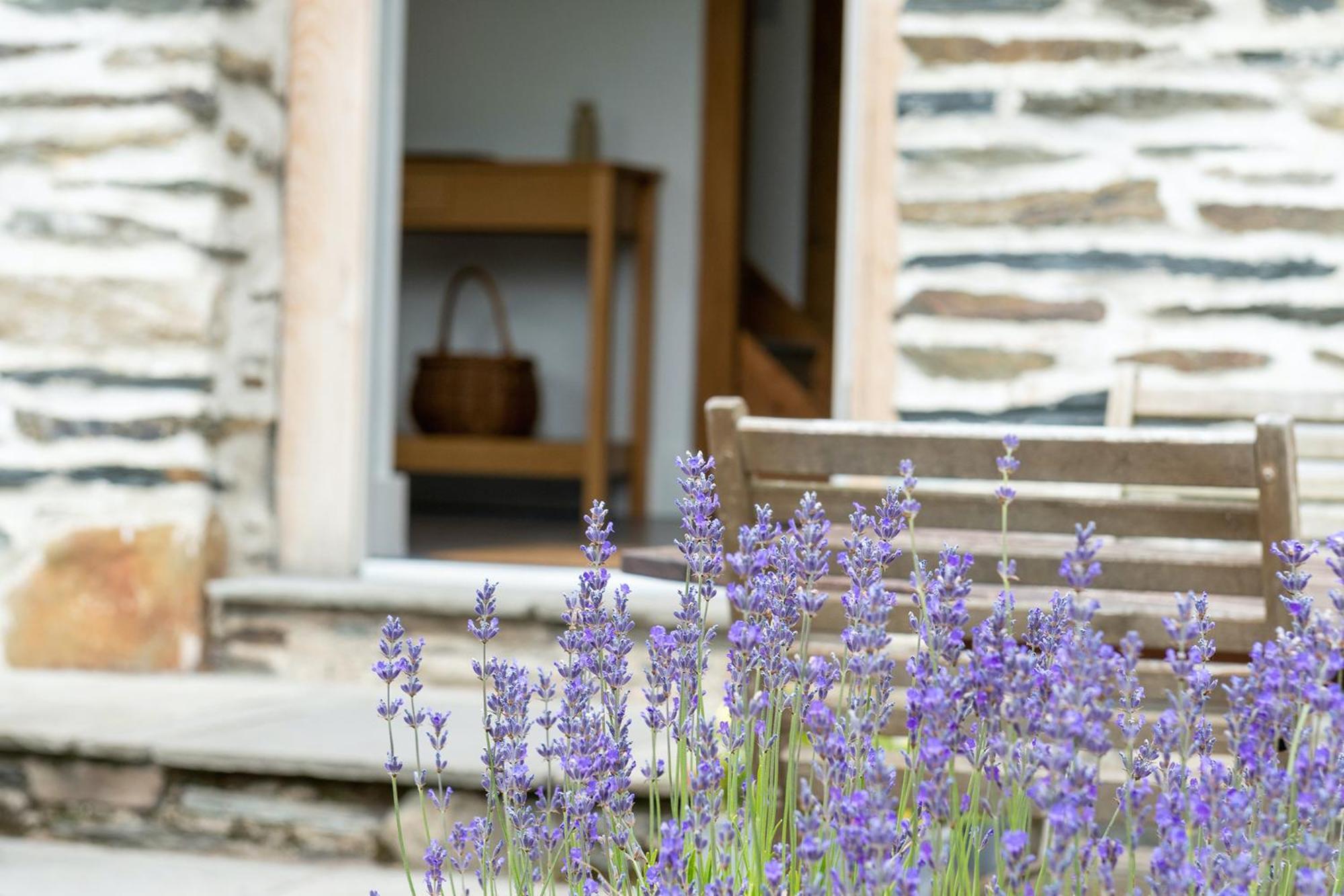 Cefn Ceiriog Villa Llangollen Cameră foto
